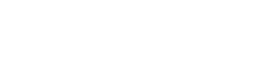 Pippit