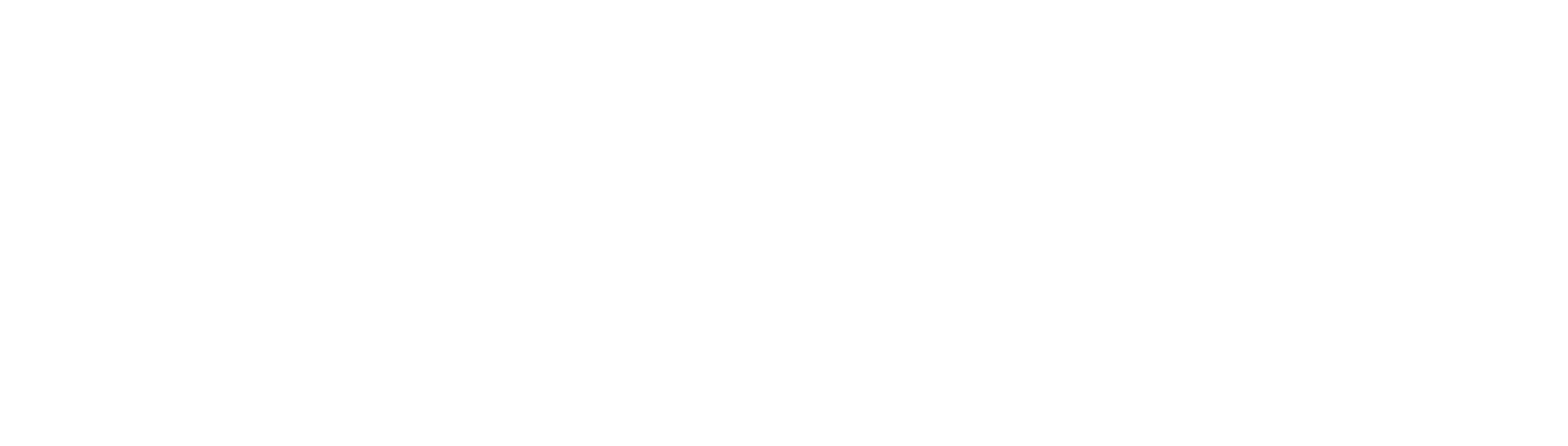 Napkin