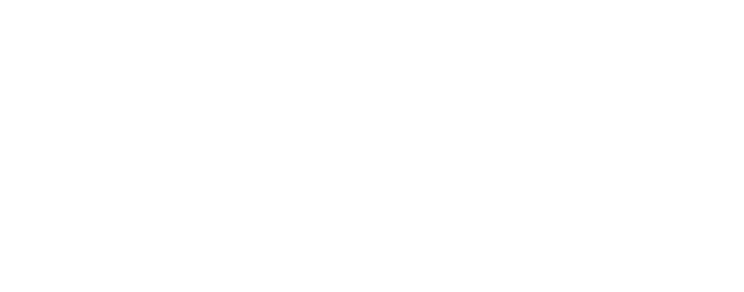 Nim Video