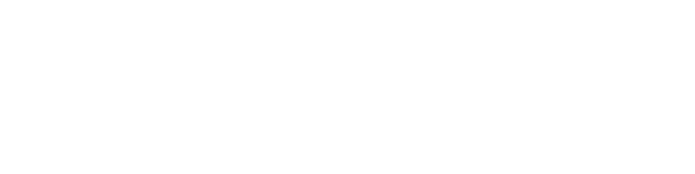 Skywork